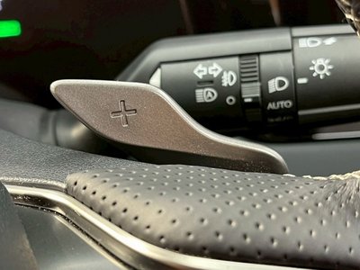 2023 Lexus RX — миниатюра 50