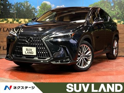 LEXUS NX - 1