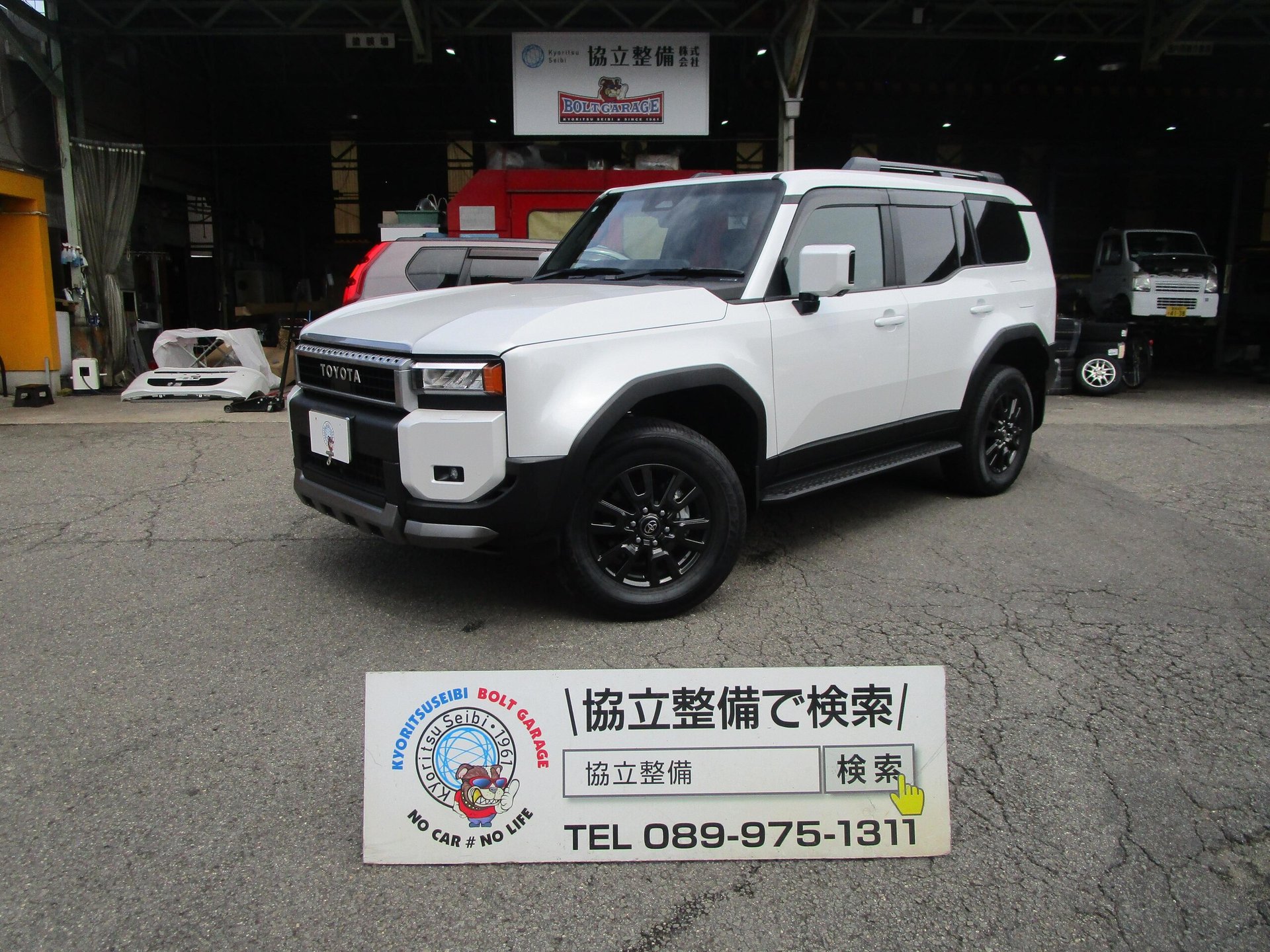 TOYOTA LAND CRUISER 250 - View 1