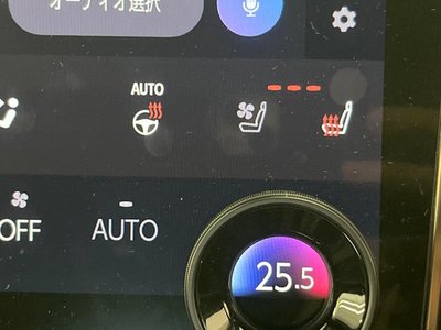 2025 Toyota ALPHARD 缩略图 46
