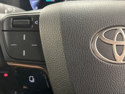 2025 Toyota ALPHARD 缩略图 25
