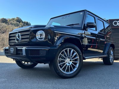 MERCEDES-BENZ G-CLASS - 1