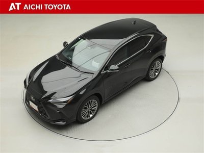 LEXUS NX - 10