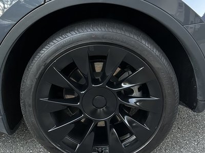 2022 Tesla MODEL Y photo 6