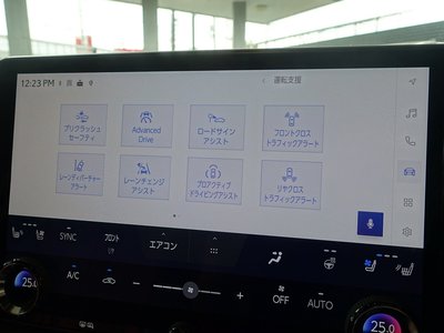 2023 Lexus RX — миниатюра 47