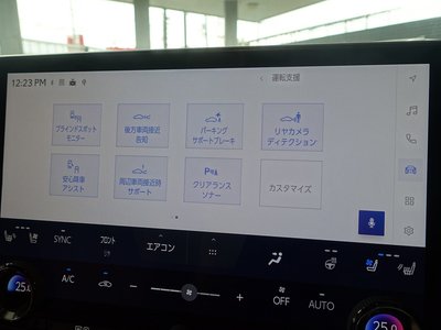 2023 Lexus RX — миниатюра 48