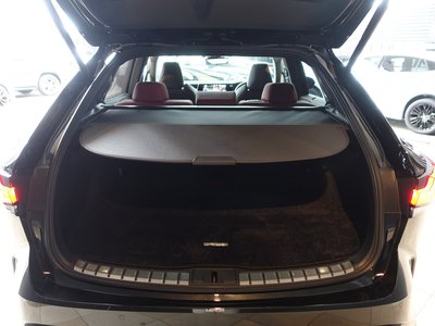 2023 Lexus RX — миниатюра 65
