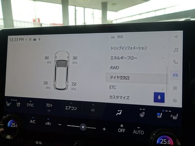 2023 Lexus RX — миниатюра 50