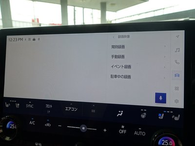 2023 Lexus RX — миниатюра 49