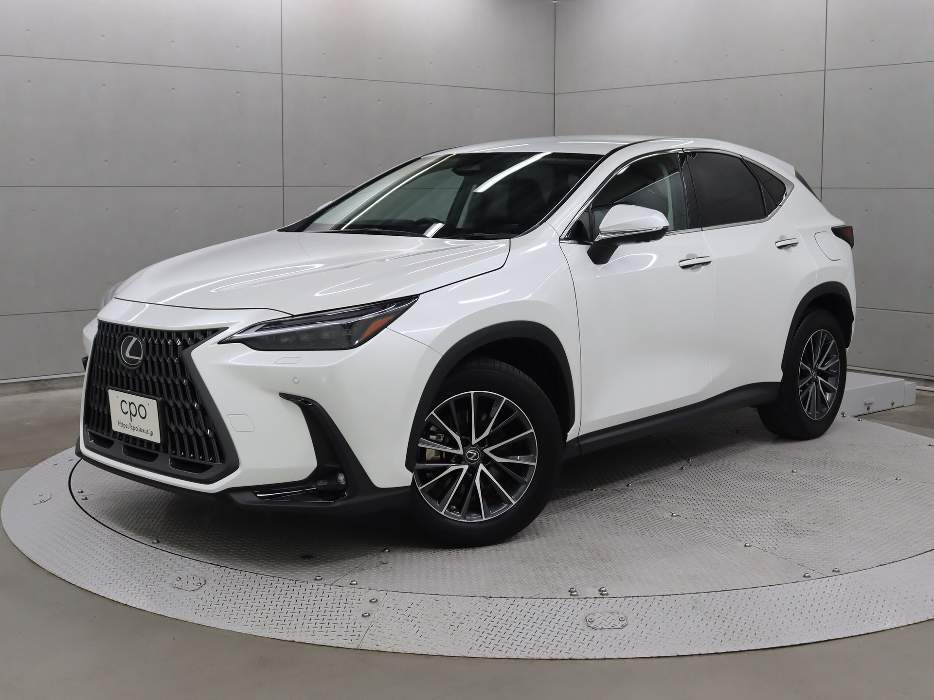 LEXUS NX - View 1