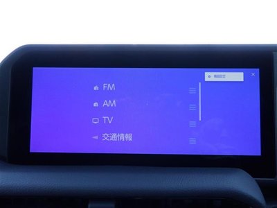 2024 Toyota LAND CRUISER 250 photo 6