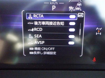 2024 Toyota LAND CRUISER 250 缩略图 14