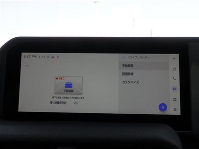 2024 Toyota LAND CRUISER 250 photo 5