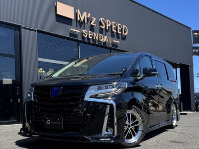 2022 Toyota ALPHARD — миниатюра 11
