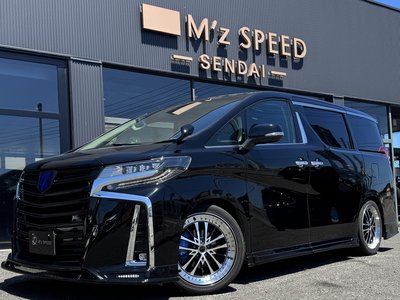 2022 Toyota ALPHARD — миниатюра 13