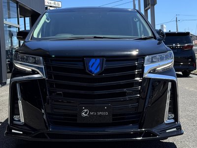 2022 Toyota ALPHARD — миниатюра 15