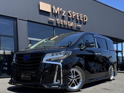 2022 Toyota ALPHARD — миниатюра 12
