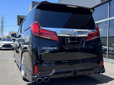 2022 Toyota ALPHARD — миниатюра 23
