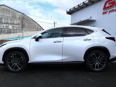 LEXUS NX - 6