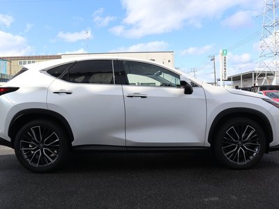 LEXUS NX - 10