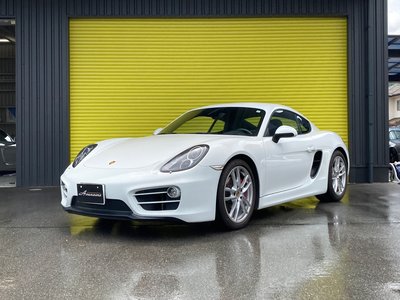 2013 Porsche CAYMAN 照片 3