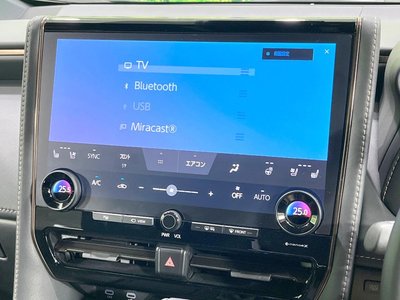 2025 TOYOTA ALPHARD 缩略图 49