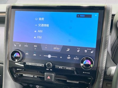 2025 TOYOTA ALPHARD 缩略图 50