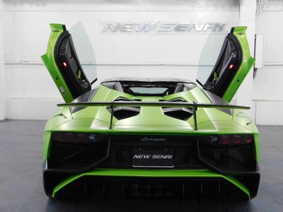 2017 Lamborghini AVENTADOR ROADSTER 照片 63