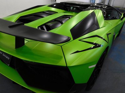 2017 Lamborghini AVENTADOR ROADSTER 照片 38