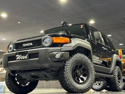 TOYOTA FJ CRUISER - 10