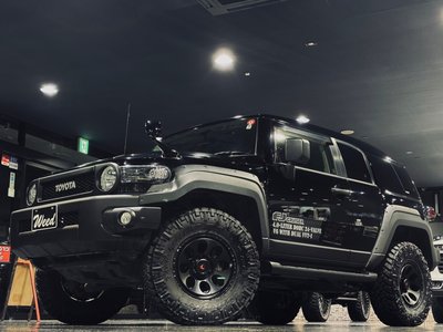 TOYOTA FJ CRUISER - 1