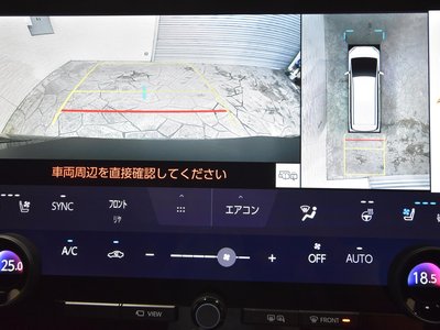 2023 TOYOTA ALPHARD thumbnail 25
