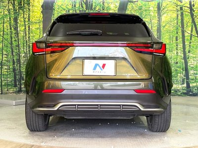 2023 Lexus NX 照片 15