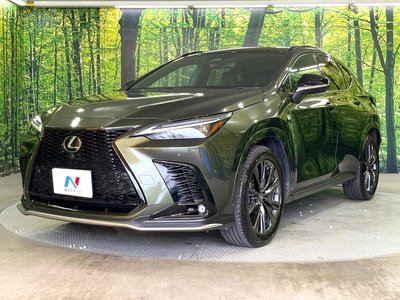 2023 Lexus NX 照片 20
