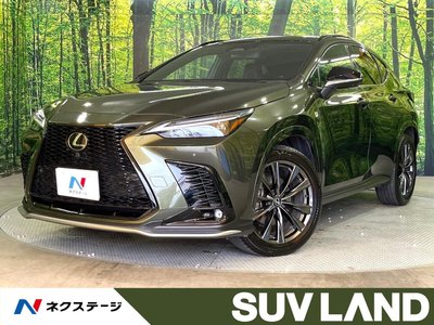 2023 Lexus NX 照片 1