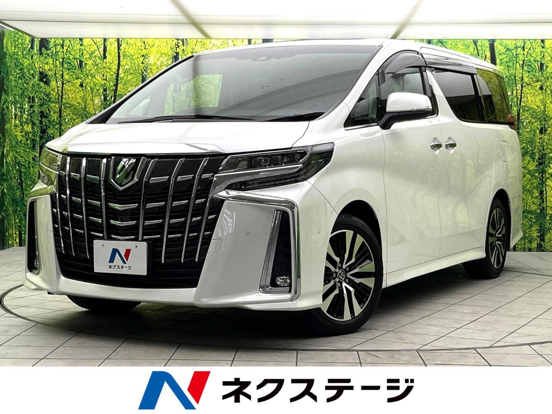 TOYOTA ALPHARD - View 1