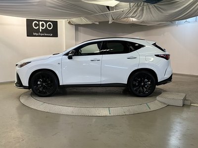 LEXUS NX - 10