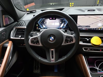 2023 BMW X6 — миниатюра 13