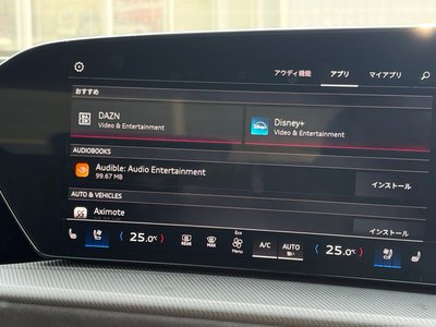 2025 AUDI SQ5 — миниатюра 26