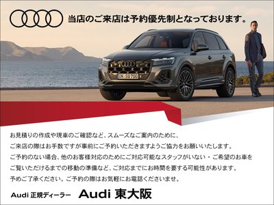 2025 AUDI SQ5 — миниатюра 63