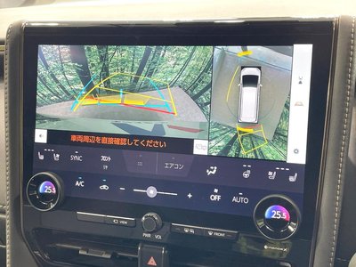 2024 TOYOTA ALPHARD photo 6