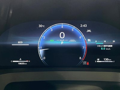 2024 TOYOTA ALPHARD 缩略图 45