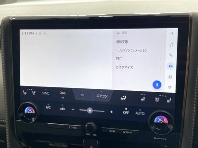 2024 TOYOTA ALPHARD 缩略图 50