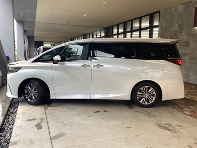 2025 TOYOTA ALPHARD 照片 8