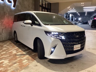 2025 TOYOTA ALPHARD 照片 3