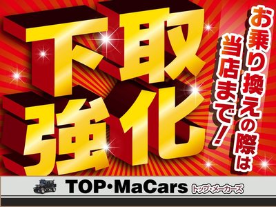 TOYOTA LAND CRUISER 70 - 2