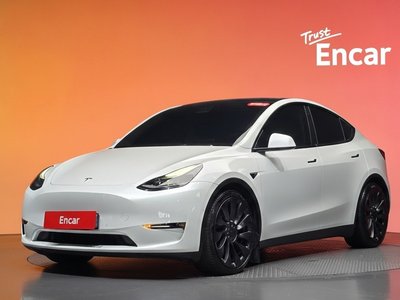 2021 Tesla MODEL Y photo 1