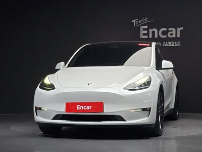 2021 Tesla MODEL Y photo 2