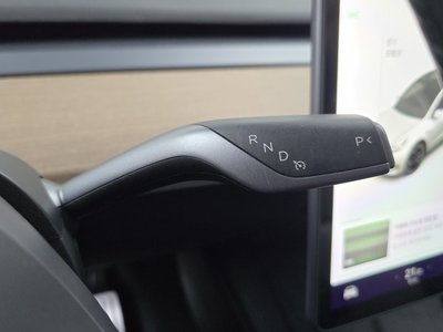 2021 Tesla MODEL Y thumbnail 12