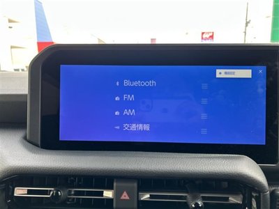 TOYOTA LAND CRUISER 250 - 4